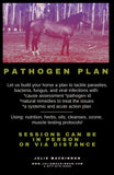 Equine Nutrition and Cleanses