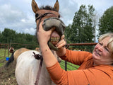 Mastering the Equine Mouth -equine dentistry series