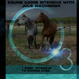 Ozone Therapy