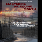 Mastering the Equine Mouth -equine dentistry series