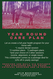 Equine Nutrition and Cleanses