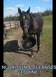 Equine Nutrition and Cleanses
