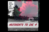 Intro -Nutrients To Die For-Equine