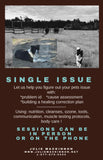 Pet Nutrition and Cleanses