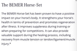 Bemer -Equine