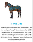 Bemer -Equine