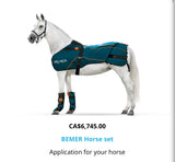 Bemer -Equine