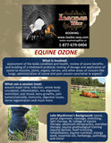 Equine Ozone and pet !